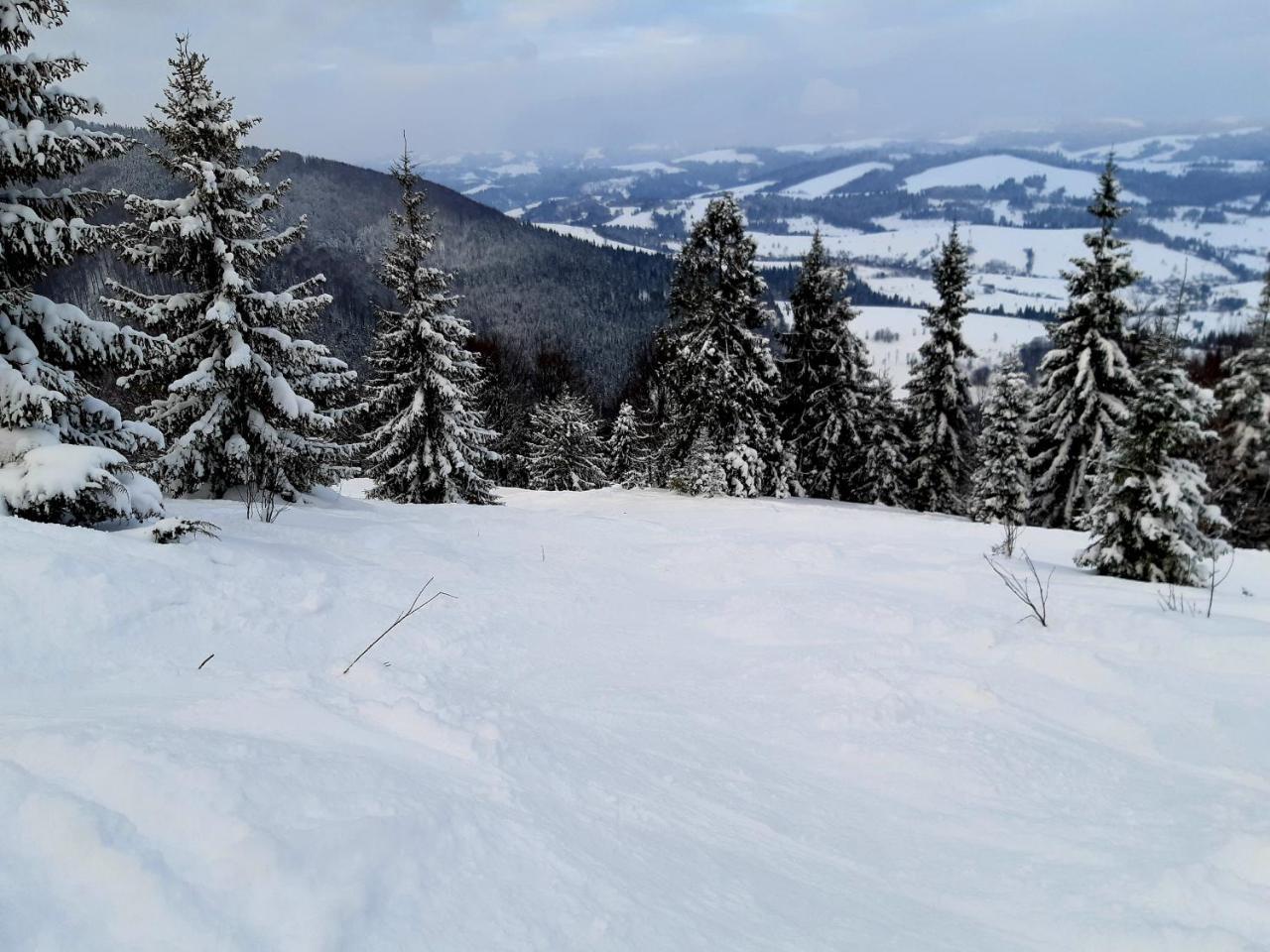 Gostynna Rodyna Hotell Izki Exteriör bild