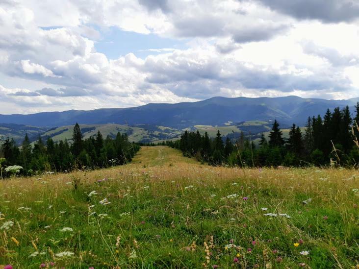 Gostynna Rodyna Hotell Izki Exteriör bild